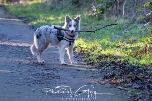 25 December 2025, Parkside, Cumbria, Christmas Day - Skye