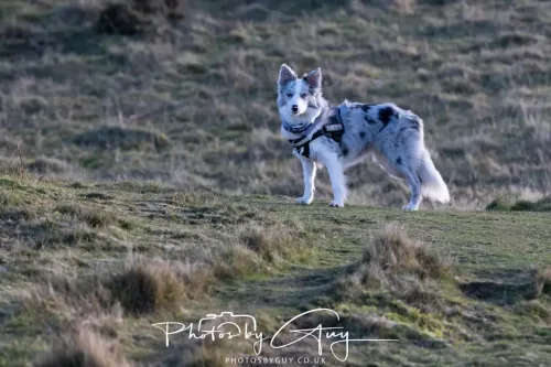 03 January 2026 - Sale Fell, Cumbria 