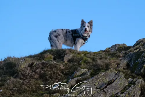 03 January 2026 - Sale Fell, Cumbria 