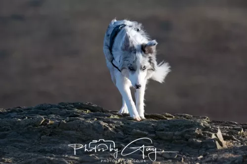 03 January 2026 - Sale Fell, Cumbria 