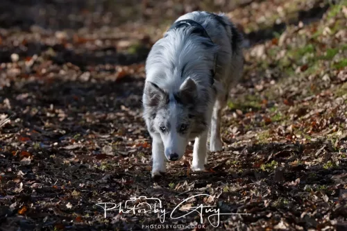 03 January 2026 - Sale Fell, Cumbria 