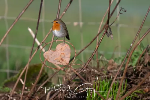 24 Jan 2026 - Whitehaven harbour walk