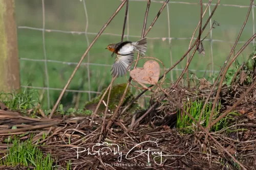 24 Jan 2026 - Whitehaven harbour walk