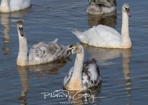 24 Jan 2026 - Whitehaven harbour walk