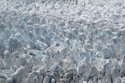 March 2025 New Zealand, South Island, Franz Joseph Glacier