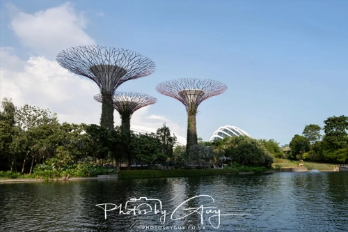 2,4 March & 1,2 April 2025 : Singapore - Super trees at Gardens by the Bay