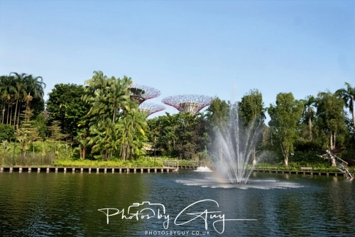 2,4 March & 1,2 April 2025 : Singapore - Super trees at Gardens by the Bay