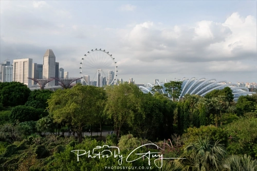 2,4 March & 1,2 April 2025 : Singapore - Super trees at Gardens by the Bay