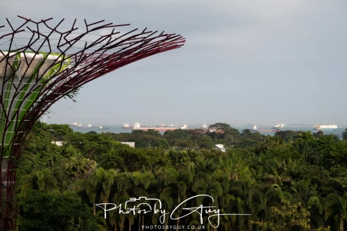 2,4 March & 1,2 April 2025 : Singapore - Super trees at Gardens by the Bay