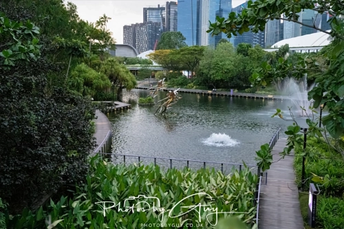 2,4 March & 1,2 April 2025 : Singapore - Gardens by the Bay