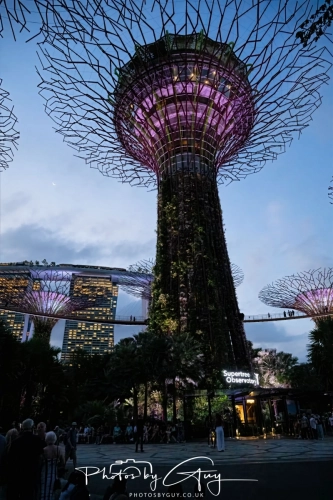 2,4 March & 1,2 April 2025 : Singapore - Super trees at Gardens by the Bay