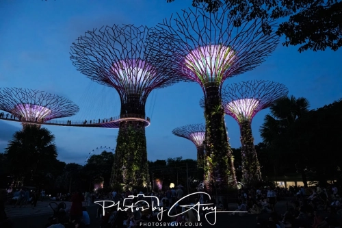 2,4 March & 1,2 April 2025 : Singapore - Super trees at Gardens by the Bay