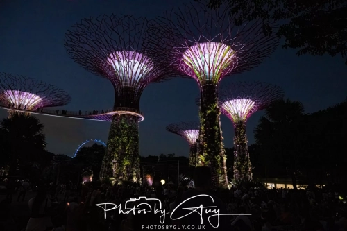 2,4 March & 1,2 April 2025 : Singapore - Super trees at Gardens by the Bay
