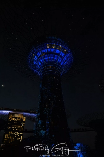 2,4 March & 1,2 April 2025 : Singapore - Super trees at Gardens by the Bay