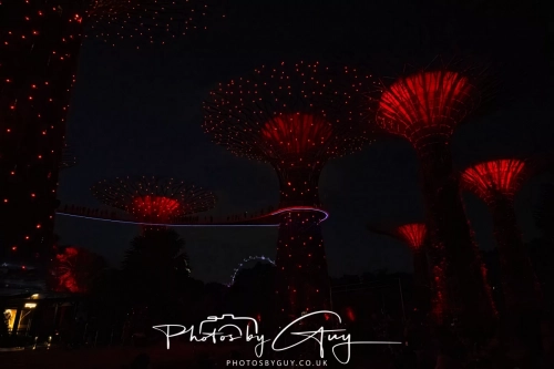 2,4 March & 1,2 April 2025 : Singapore - Super trees at Gardens by the Bay