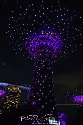 2,4 March & 1,2 April 2025 : Singapore - Gardens by the bay at night