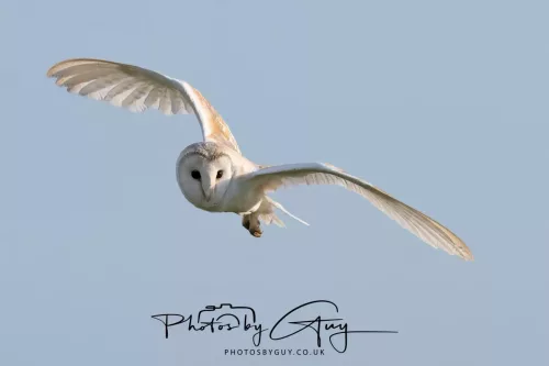 28 July 2025 : West Cumbria. location withheld