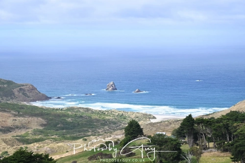 10 March 2025 : Dunedin area, South Island, New Zealand
