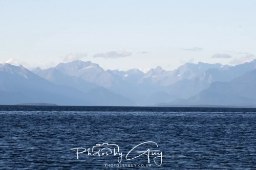 NZ8_6719