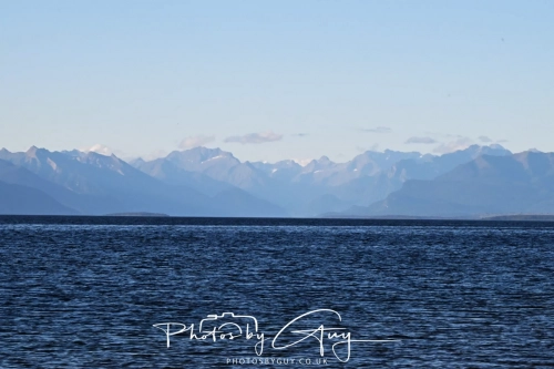 NZ8_6720
