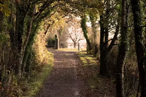 27 October 2024 : Parkside, Cleator Moor, Cumbria - Path to the old railway line