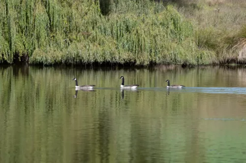 27 - 30 March kiakoura New Zealand