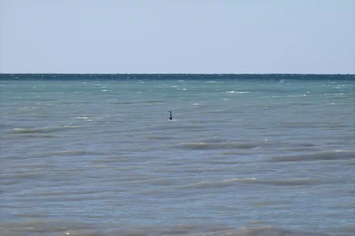 27 - 30 March kiakoura New Zealand