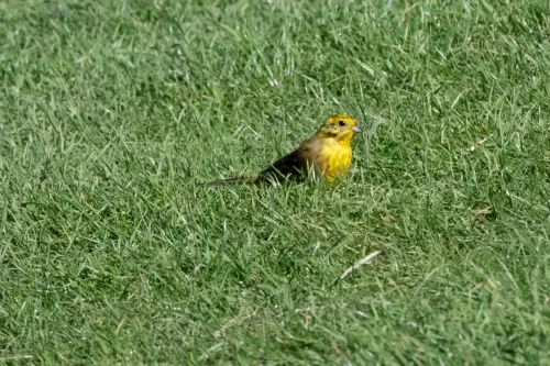 27 - 30 March kiakoura New Zealand