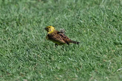 27 - 30 March kiakoura New Zealand