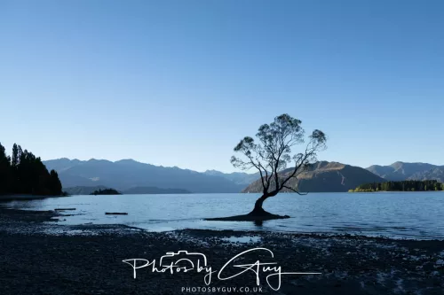 IMG_2941-March 2025, New Zealand South Island - Wanaka - 