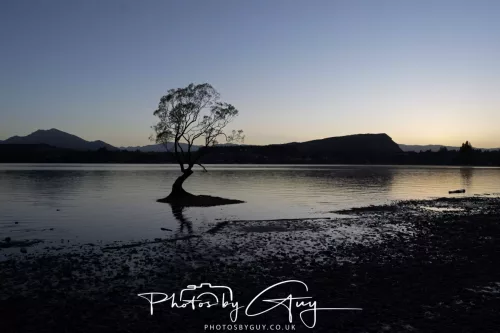 March 2025, New Zealand South Island - Wanaka - 