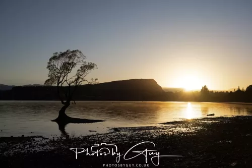 March 2025, New Zealand South Island - Wanaka - 