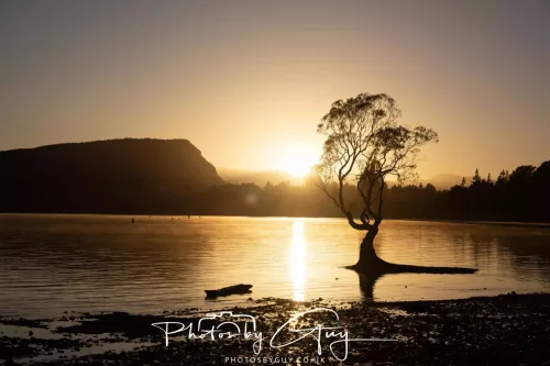 March 2025, New Zealand South Island - Wanaka - 