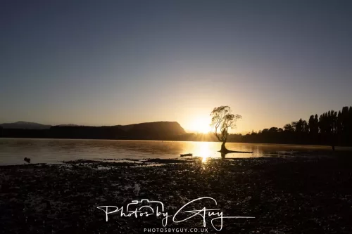 March 2025, New Zealand South Island - Wanaka - 