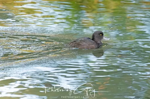 6 March 2025 Christchurch, New Zealand South Island, 