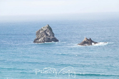 10 March 2025 : Dunedin area, South Island, New Zealand
