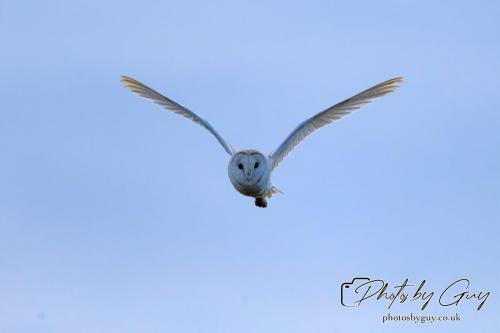 26 - 27 July 2024 Ennerdale, Cumbria -