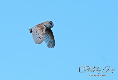 26 - 27 July 2024 Ennerdale, Cumbria -