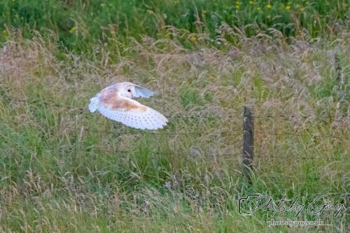 26 - 27 July 2024 Ennerdale, Cumbria 