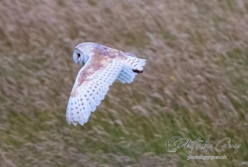 26 - 27 July 2024 Ennerdale, Cumbria -