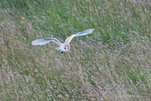 26 - 27 July 2024 Ennerdale, Cumbria -