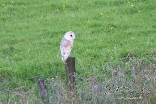 26 - 27 July 2024 Ennerdale, Cumbria -