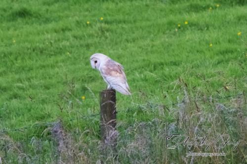 26 - 27 July 2024 Ennerdale, Cumbria -