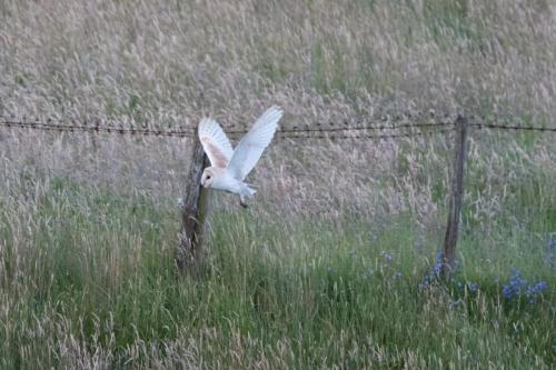 26 - 27 July 2024 Ennerdale, Cumbria -