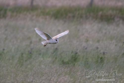 26 - 27 July 2024 Ennerdale, Cumbria -