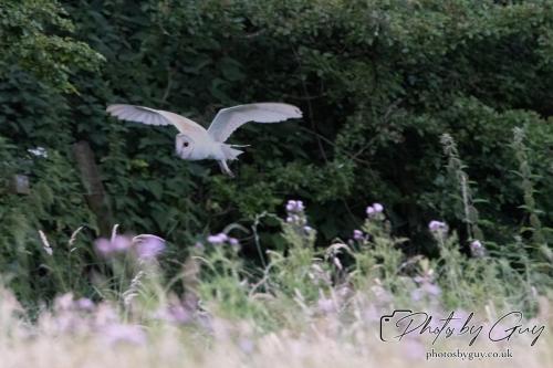 26 - 27 July 2024 Ennerdale, Cumbria -