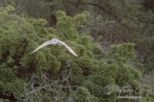 26 - 27 July 2024 Ennerdale, Cumbria -