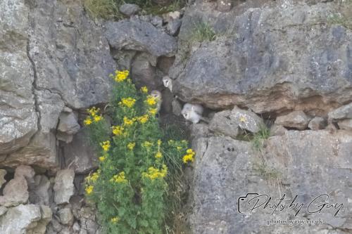 26 - 27 July 2024 Ennerdale, Cumbria -