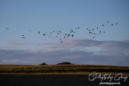 26 - 27 July 2024 Ennerdale, Cumbria -