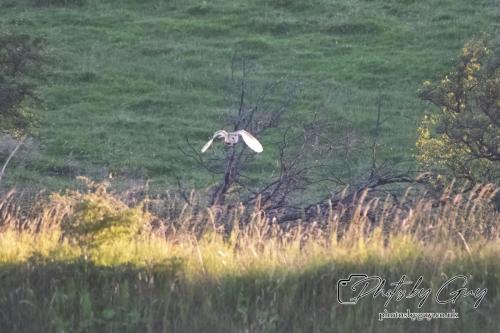 26 - 27 July 2024 Ennerdale, Cumbria -